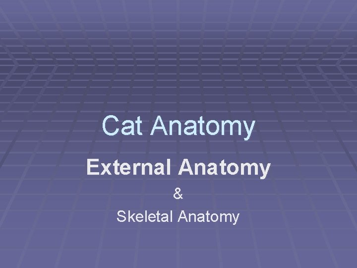 Cat Anatomy External Anatomy & Skeletal Anatomy 