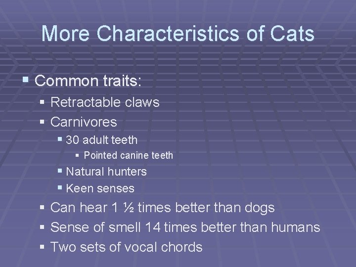More Characteristics of Cats § Common traits: § Retractable claws § Carnivores § 30
