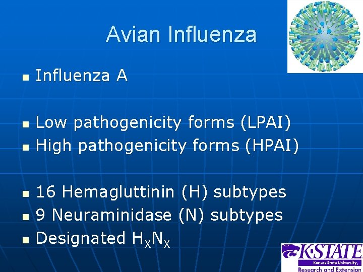 Avian Influenza n n n Influenza A Low pathogenicity forms (LPAI) High pathogenicity forms