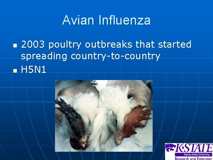 Avian Influenza n n 2003 poultry outbreaks that started spreading country-to-country H 5 N