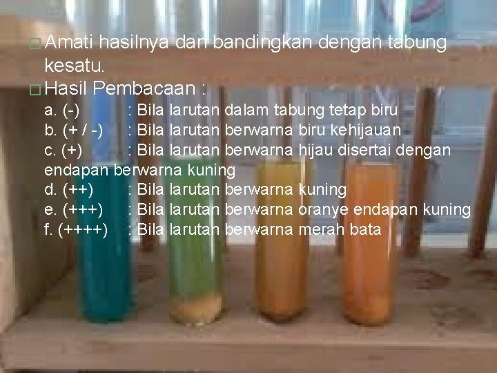 � Amati hasilnya dan bandingkan dengan tabung kesatu. � Hasil Pembacaan : a. (-)