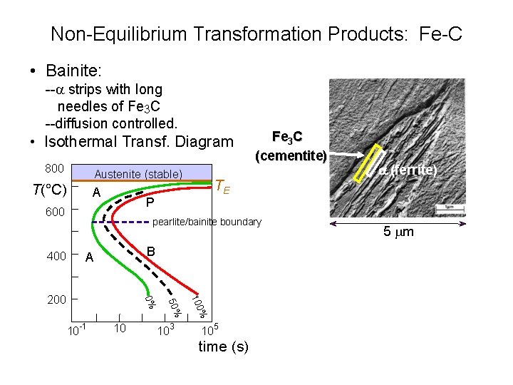 Non-Equilibrium Transformation Products: Fe-C • Bainite: --a strips with long needles of Fe 3