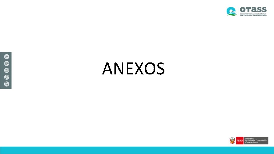 ANEXOS 