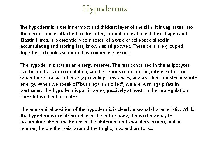 Hypodermis The hypodermis is the innermost and thickest layer of the skin. It invaginates Hypodermis The hypodermis is the innermost and thickest layer of the skin. It invaginates