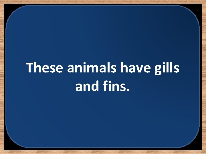 These animals have gills and fins. 