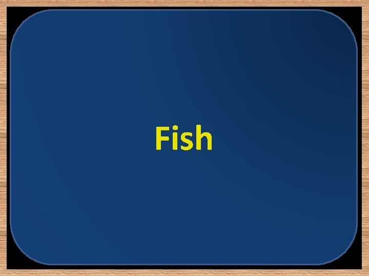 Fish 