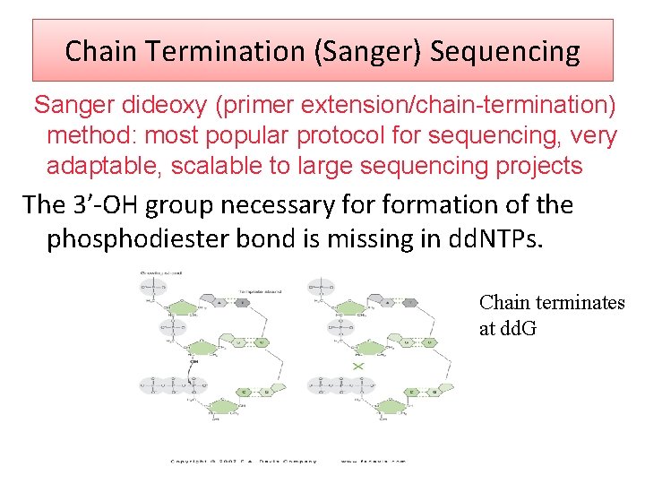 Chain Termination (Sanger) Sequencing Sanger dideoxy (primer extension/chain-termination) method: most popular protocol for sequencing,