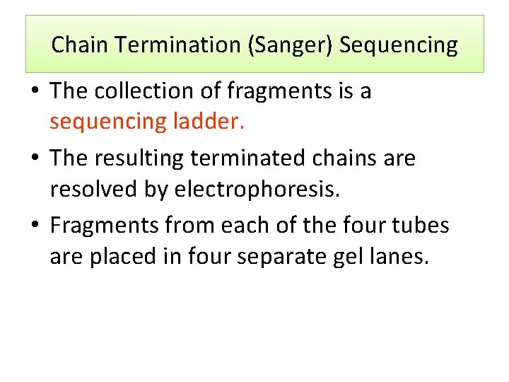 Chain Termination (Sanger) Sequencing • The collection of fragments is a sequencing ladder. •