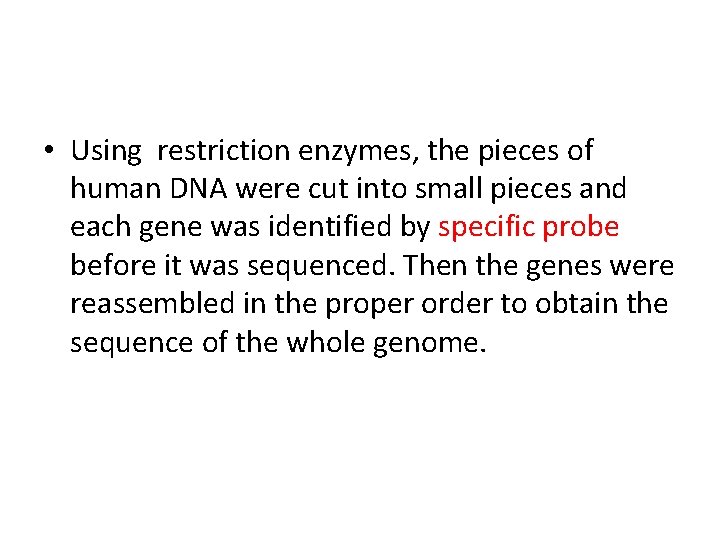 • Using restriction enzymes, the pieces of human DNA were cut into small • Using restriction enzymes, the pieces of human DNA were cut into small