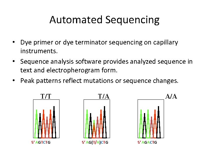 Automated Sequencing • Dye primer or dye terminator sequencing on capillary instruments. • Sequence