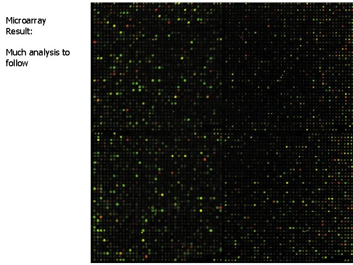 Microarray Result: Much analysis to follow 