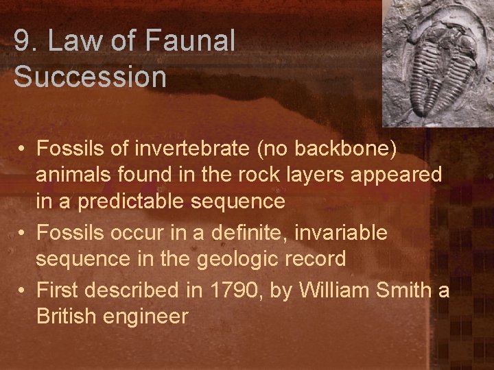 9. Law of Faunal Succession • Fossils of invertebrate (no backbone) animals found in