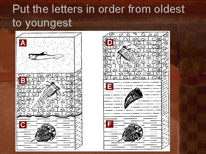 Put the letters in order from oldest to youngest 