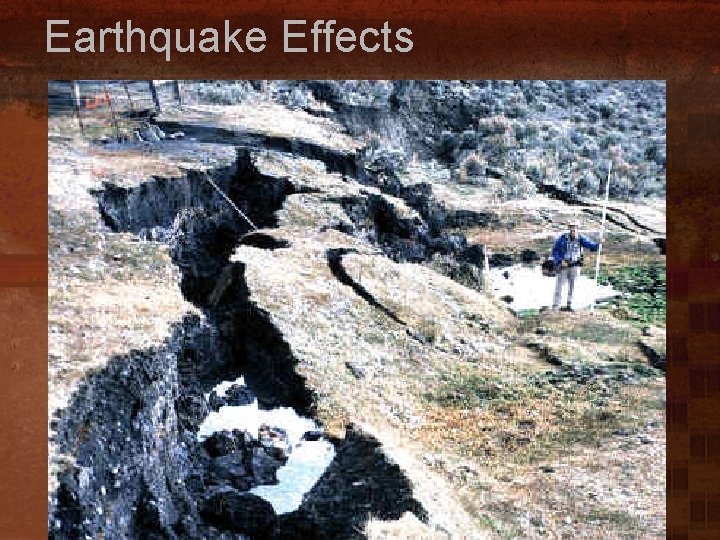 Earthquake Effects 