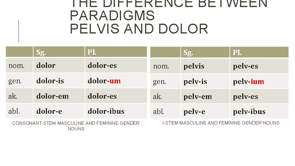 THE DIFFERENCE BETWEEN PARADIGMS PELVIS AND DOLOR Sg. Pl. nom. dolor-es gen. dolor-is ak.