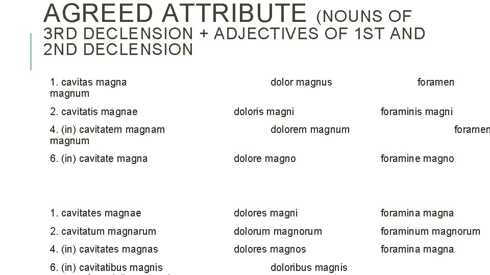 AGREED ATTRIBUTE (NOUNS OF 3 RD DECLENSION + ADJECTIVES OF 1 ST AND 2