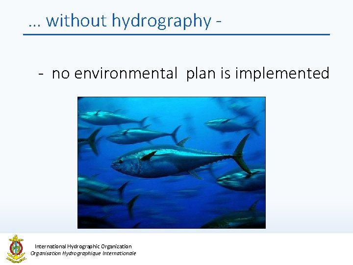… without hydrography - no environmental plan is implemented International Hydrographic Organization Organisation Hydrographique