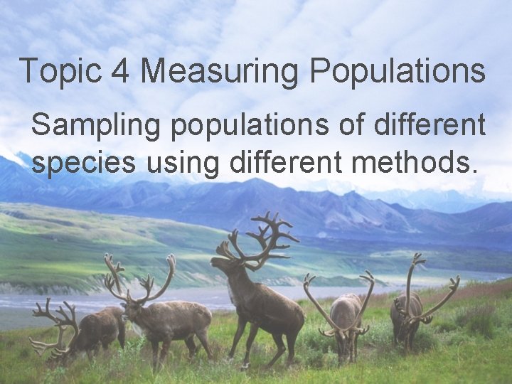 Topic 4 Measuring Populations Sampling populations of different species using different methods. 