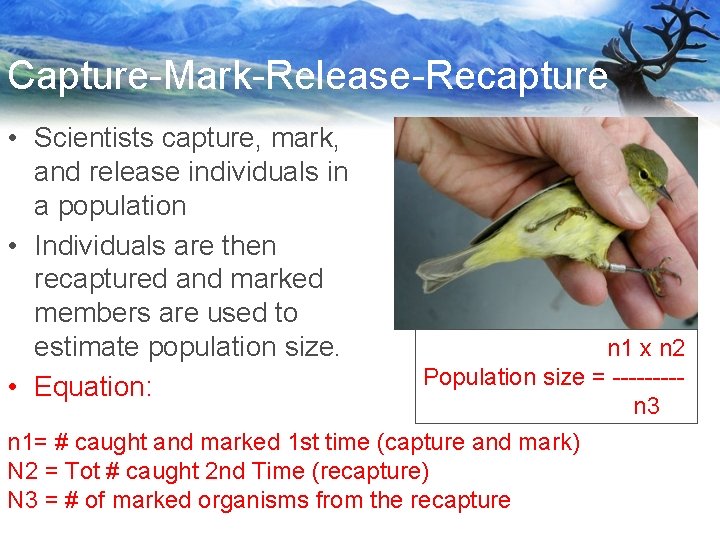 Capture-Mark-Release-Recapture • Scientists capture, mark, and release individuals in a population • Individuals are