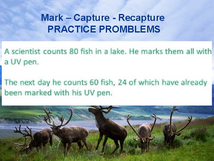 Mark – Capture - Recapture PRACTICE PROMBLEMS 