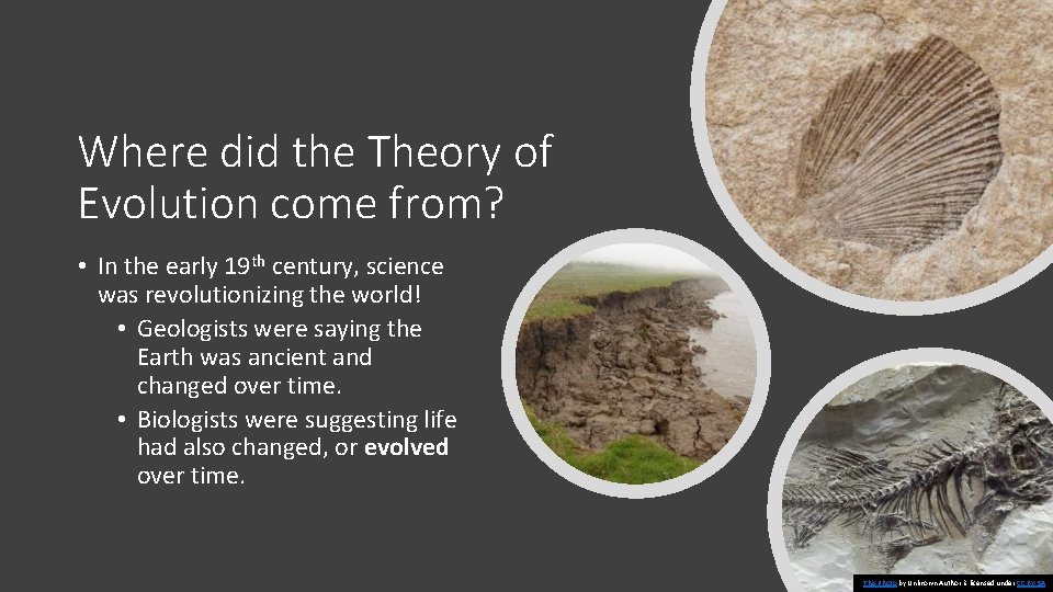 Unit 1 Evolution Section 4 Evolution Access Biology