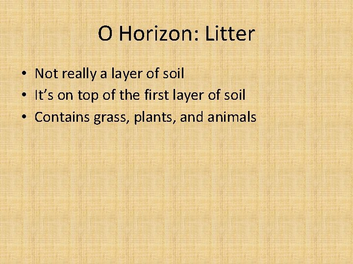 O Horizon: Litter • Not really a layer of soil • It’s on top