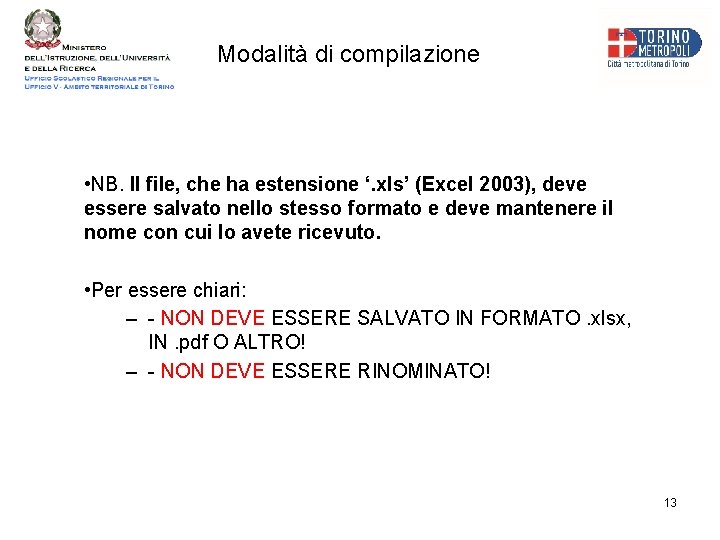 Modalità di compilazione • NB. Il file, che ha estensione ‘. xls’ (Excel 2003),