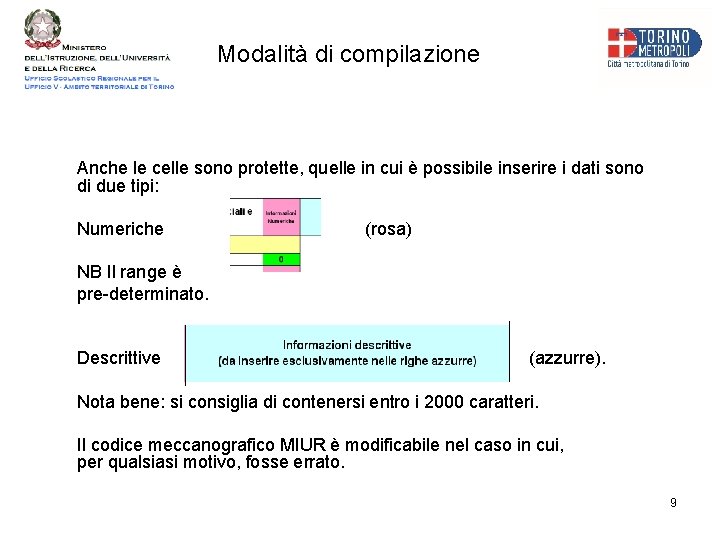 Modalità di compilazione Anche le celle sono protette, quelle in cui è possibile inserire