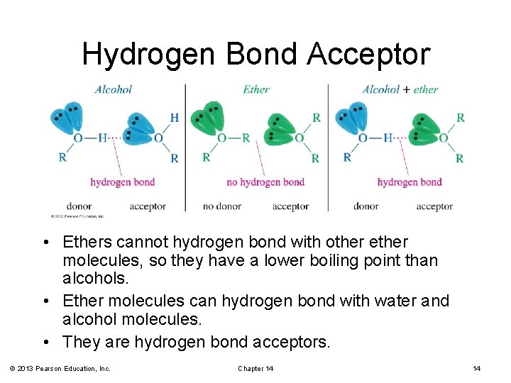 Hydrogen Bond Acceptor • Ethers cannot hydrogen bond with other ether molecules, so they