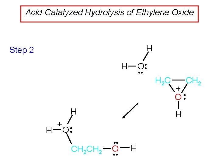 Acid-Catalyzed Hydrolysis of Ethylene Oxide H Step 2 O • • H CH 2