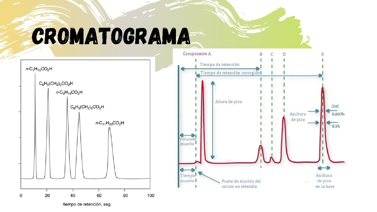 cromatograma 