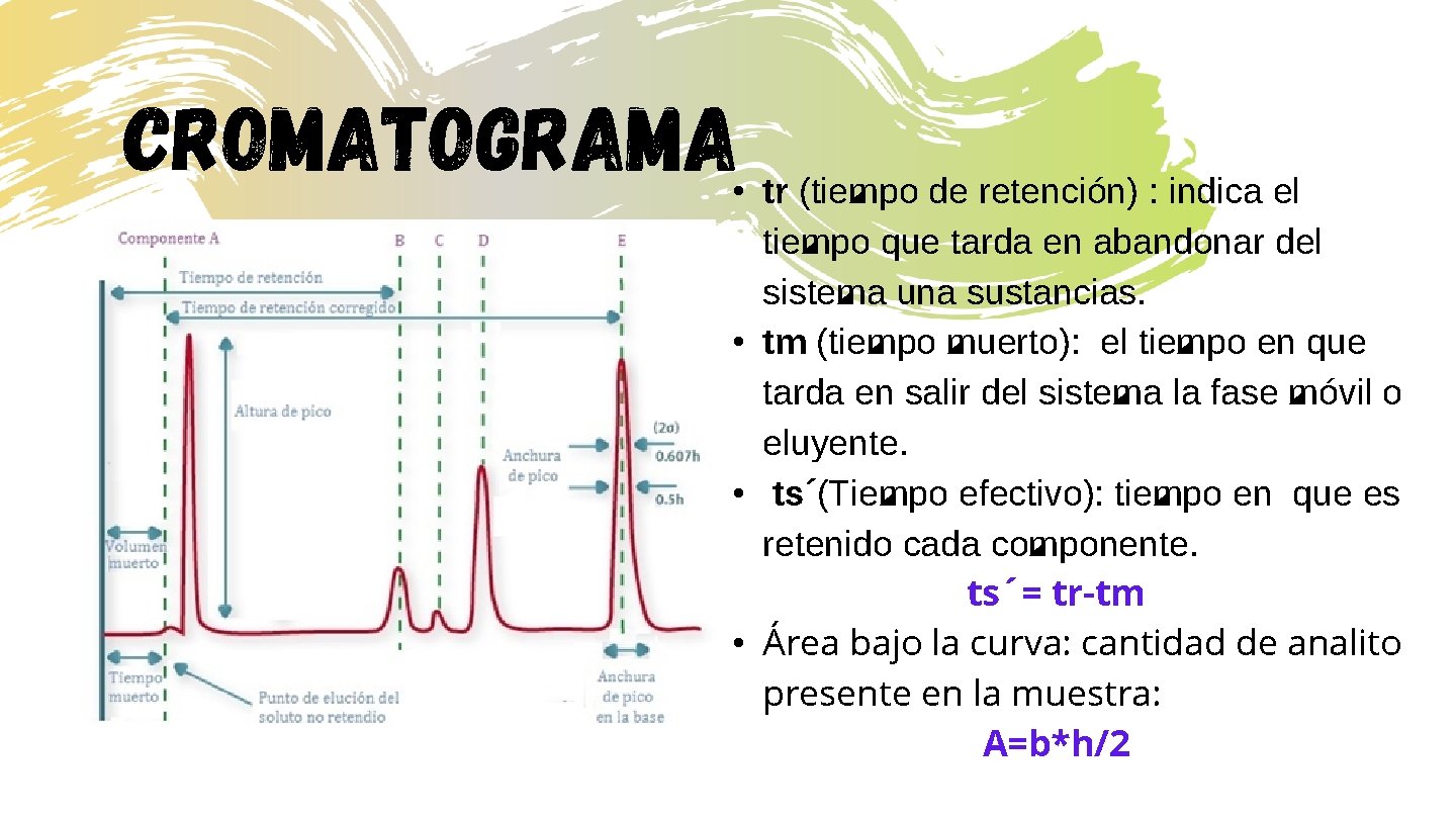 cromatograma • tr (tiempo de retención) : indica el tiempo que tarda en abandonar
