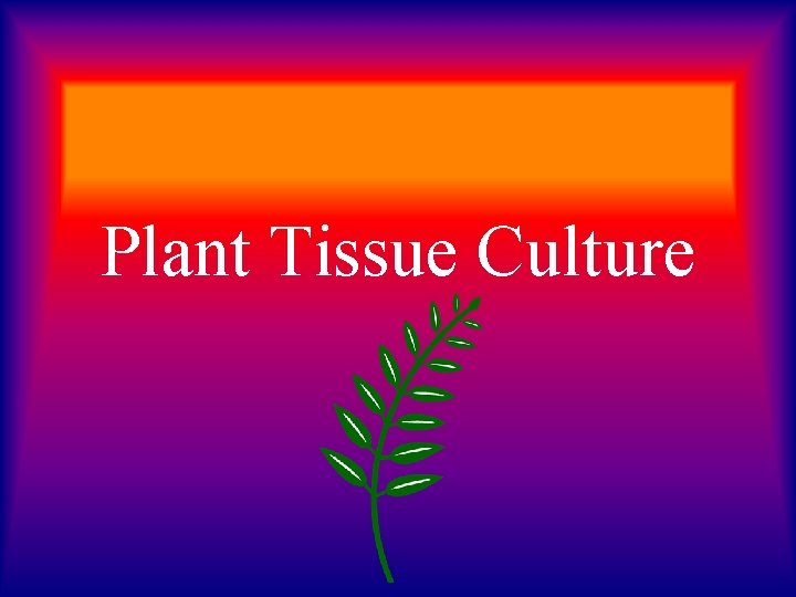 Plant Tissue Culture 