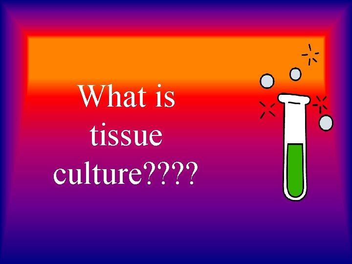 What is tissue culture? ? 