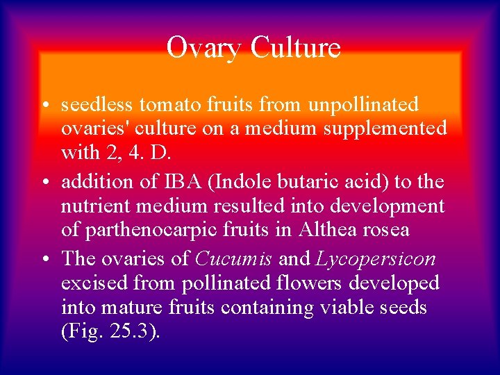 Ovary Culture • seedless tomato fruits from unpollinated ovaries' culture on a medium supplemented