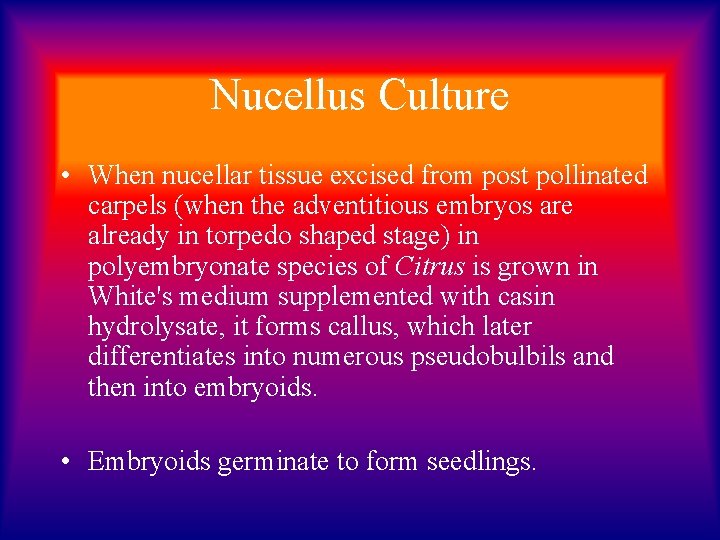 Nucellus Culture • When nucellar tissue excised from post pollinated carpels (when the adventitious