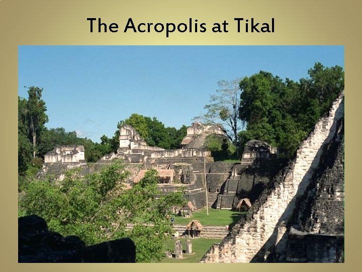 The Acropolis at Tikal 