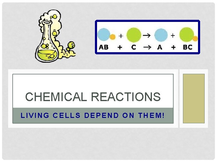 CHEMICAL REACTIONS LIVING CELLS DEPEND ON THEM! 