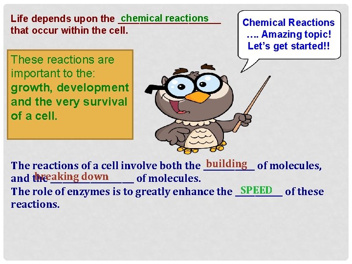 chemical reactions Life depends upon the __________ that occur within the cell. Chemical Reactions