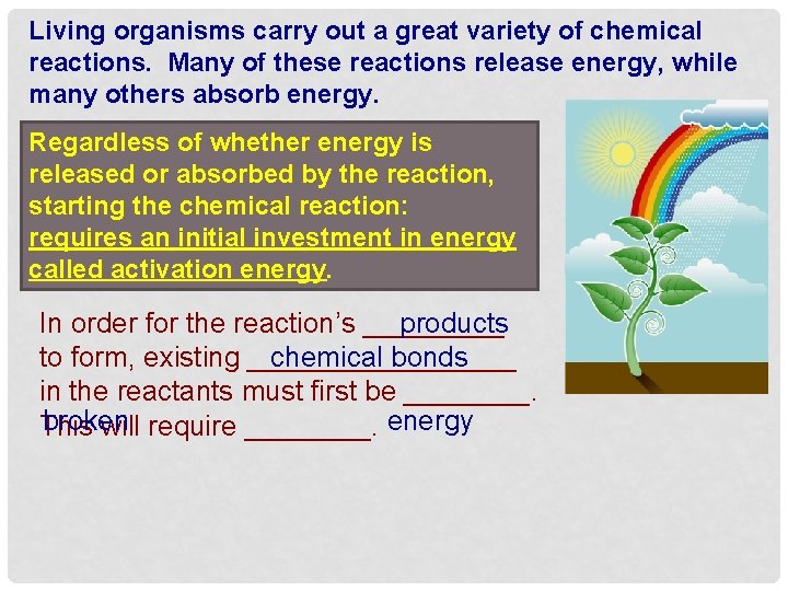 Living organisms carry out a great variety of chemical reactions. Many of these reactions