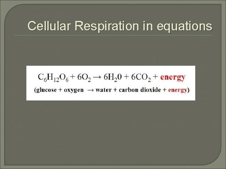 Cellular Respiration in equations 