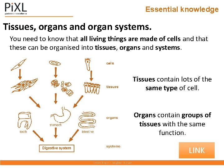 Essential knowledge Plant and animal cells You need