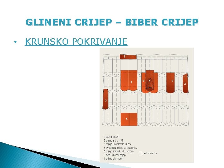 GLINENI CRIJEP – BIBER CRIJEP • KRUNSKO POKRIVANJE 