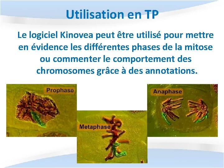 Utilisation en TP Le logiciel Kinovea peut être utilisé pour mettre en évidence les