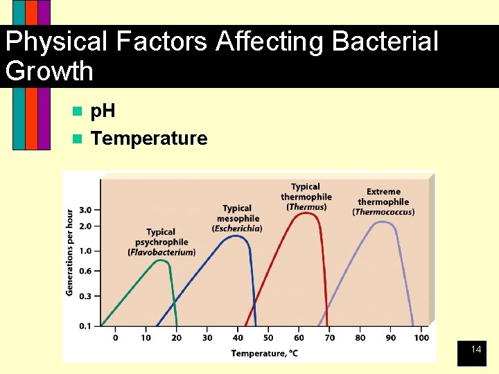 Physical Factors Affecting Bacterial Growth p. H n Temperature n 14 