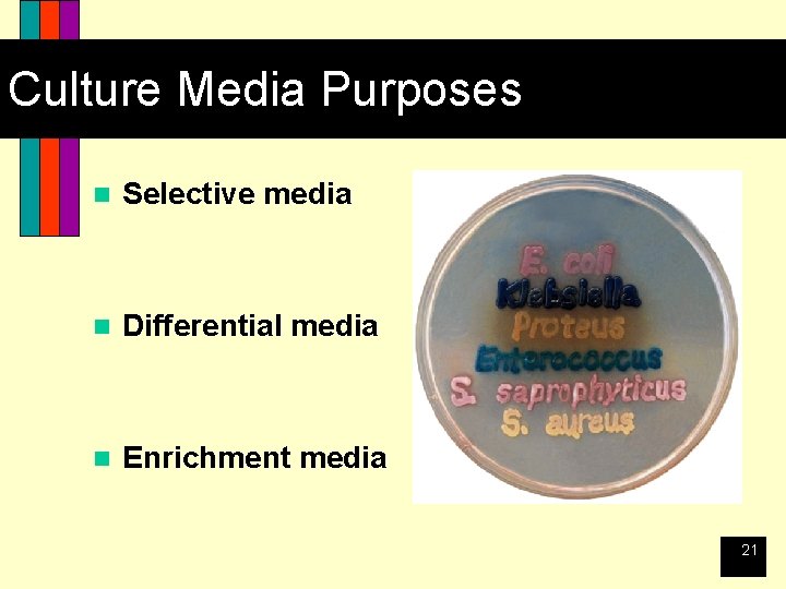 Culture Media Purposes n Selective media n Differential media n Enrichment media 21 