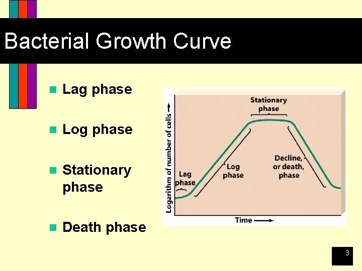 Bacterial Growth Curve n Lag phase n Log phase n Stationary phase n Death