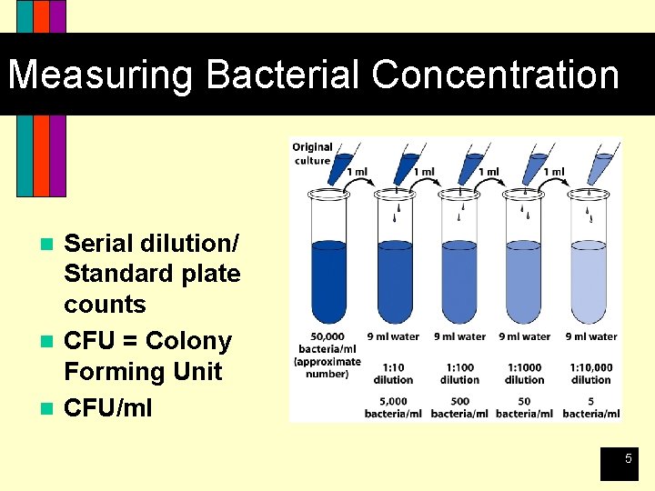 Measuring Bacterial Concentration Serial dilution/ Standard plate counts n CFU = Colony Forming Unit