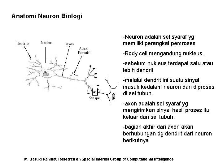 Anatomi Neuron Biologi -Neuron adalah sel syaraf yg memiliki perangkat pemroses -Body cell mengandung