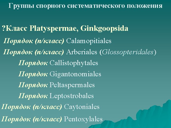Группы спорного систематического положения ? Класс Platyspermae, Ginkgoopsida Порядок (п/класс) Calamopitiales Порядок (п/класс) Arberiales